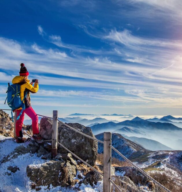 Velusce suscipit quis luctus