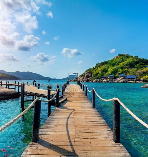 Interdum magna augue eget