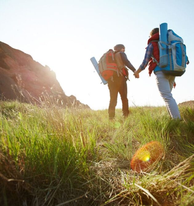 Tortor neque adpiscing diam