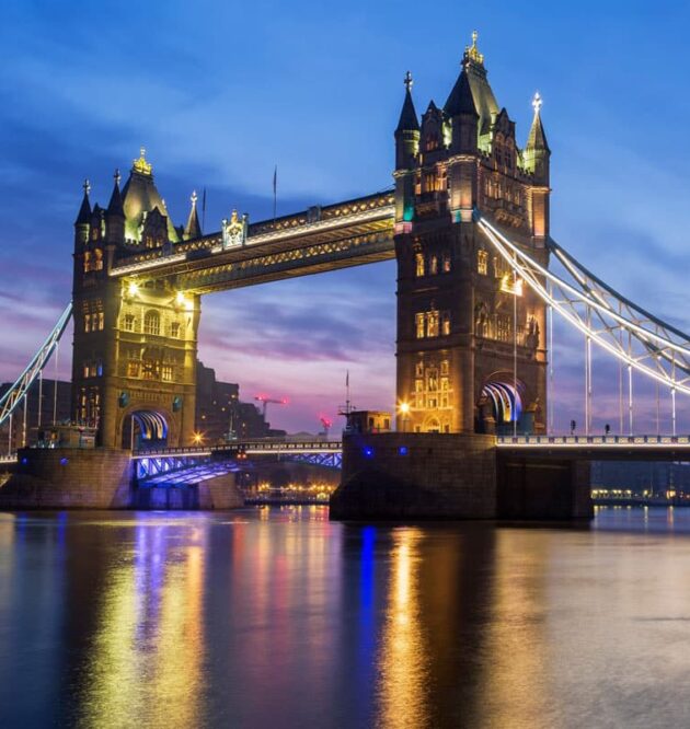 Metus vitae pharetra auctor